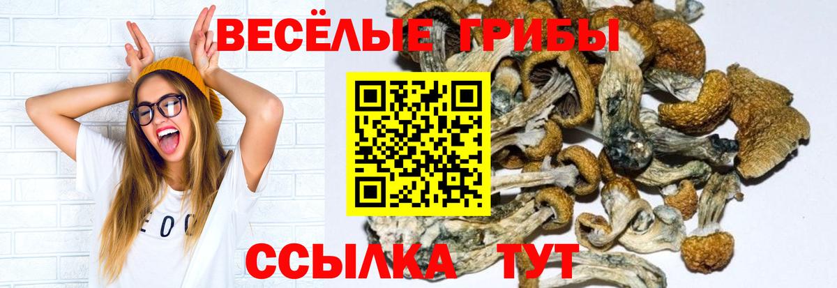 Беслан  Псилоцибиновые грибы мухоморы  Вход с VPN 