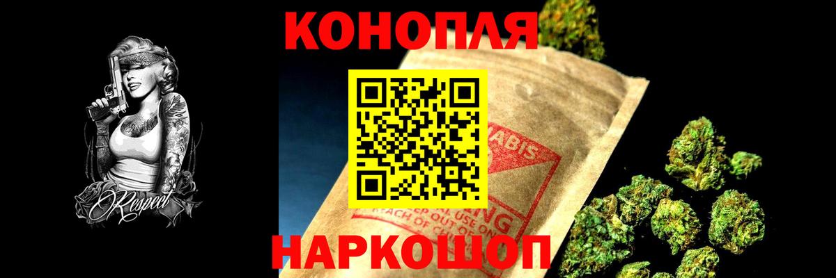 Конопля сатива Беслан